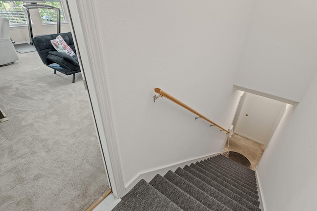 3228 Mcmillan Creek Dr, Milton, FL 32583 - stairway with carpet floors