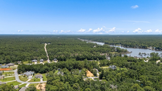 3228 Mcmillan Creek Dr, Milton, FL 32583 - bird's eye view of a heavily wooded area and a nearby body of water