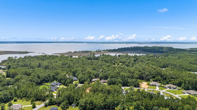 3228 Mcmillan Creek Dr, Milton, FL 32583 - bird's eye view of a large body of water and a heavily wooded area