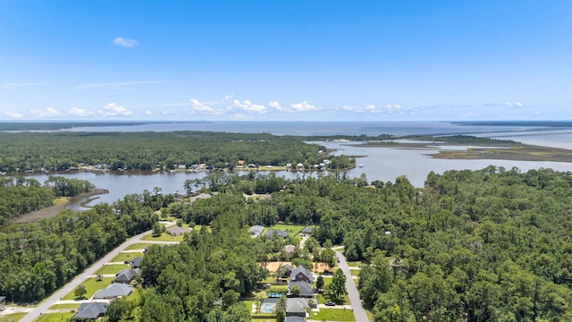 3228 Mcmillan Creek Dr, Milton, FL 32583 - bird's eye view of a forest and a large body of water
