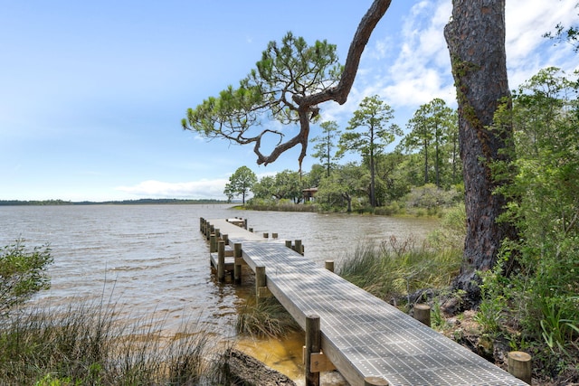 3228 Mcmillan Creek Dr, Milton, FL 32583 - dock with a water view