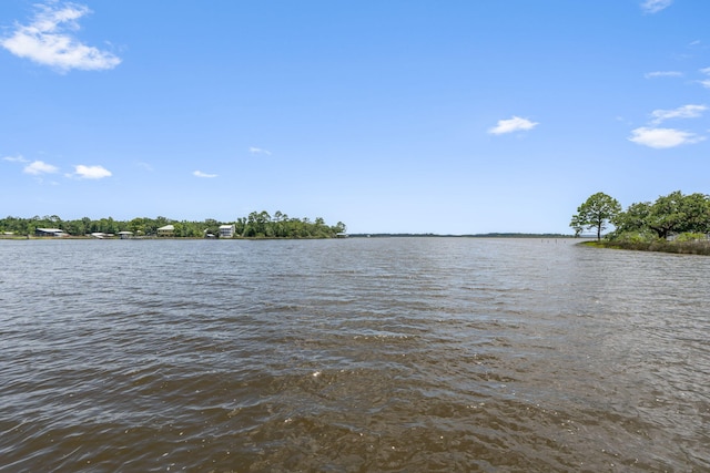 3228 Mcmillan Creek Dr, Milton, FL 32583 - water view
