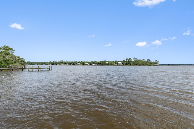 3228 Mcmillan Creek Dr, Milton, FL 32583 - water view with a boat dock