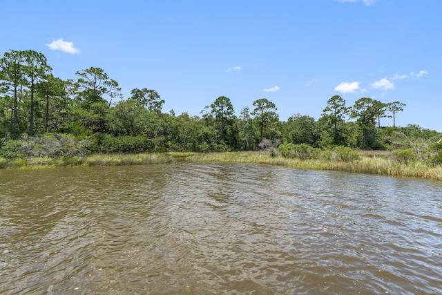 3228 Mcmillan Creek Dr, Milton, FL 32583 - water view