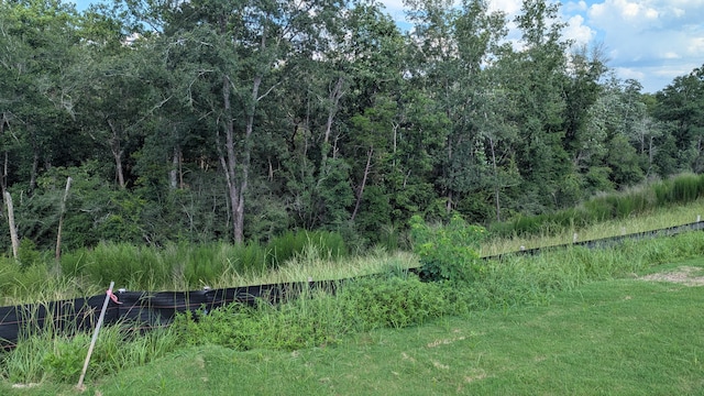 785 Alleyoak Ln Lot 86-1, Freeport, FL 32439 - view of tree filled area