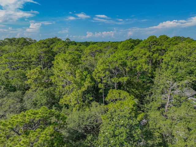 LOT14 Adair Ln, Santa Rosa Beach, FL 32459 - photo 1