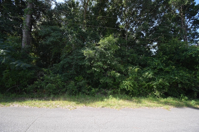 LOT40 Hunter Dr, Crestview, FL 32539 - photo 3