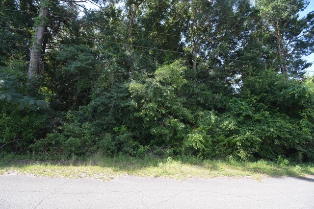 LOT40 Hunter Dr, Crestview, FL 32539 - photo 4