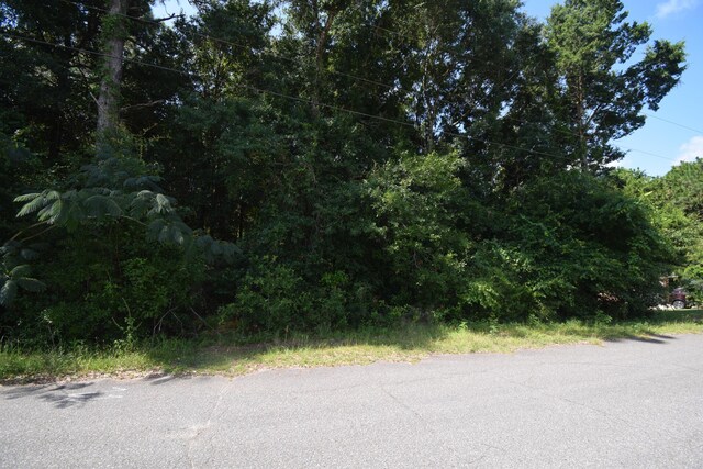LOT40 Hunter Dr, Crestview, FL 32539 - photo 5