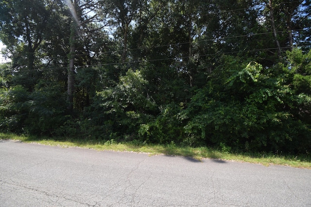 LOT40 Hunter Dr, Crestview, FL 32539 - photo 6
