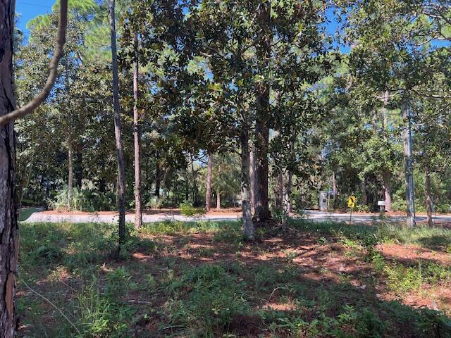 TBD W Hewett Rd, Santa Rosa Beach, FL 32459 - photo 2