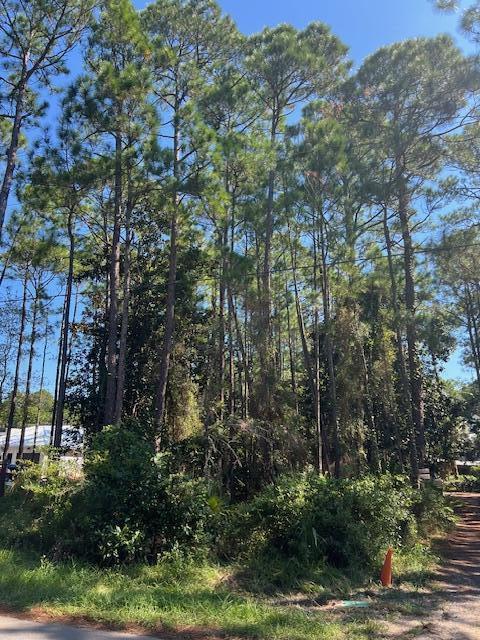 TBD W Hewett Rd, Santa Rosa Beach, FL 32459 - photo 6