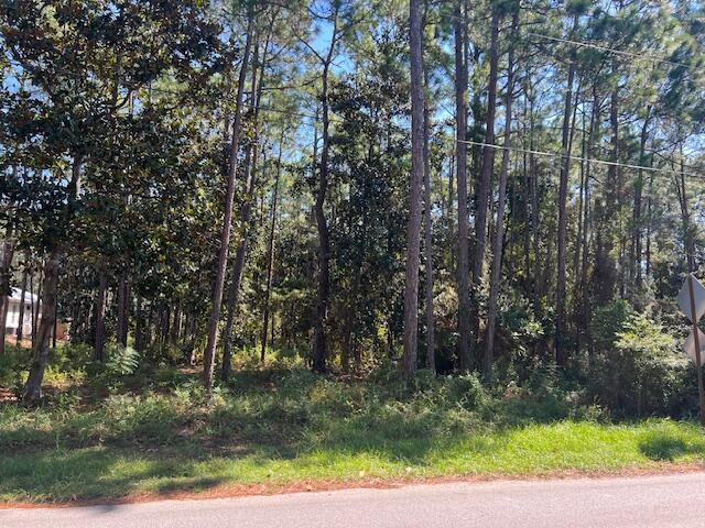 TBD W Hewett Rd, Santa Rosa Beach, FL 32459 - photo 8