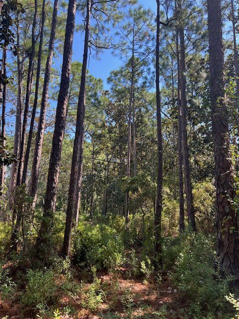 TBD W Hewett Rd, Santa Rosa Beach, FL 32459 - photo 16