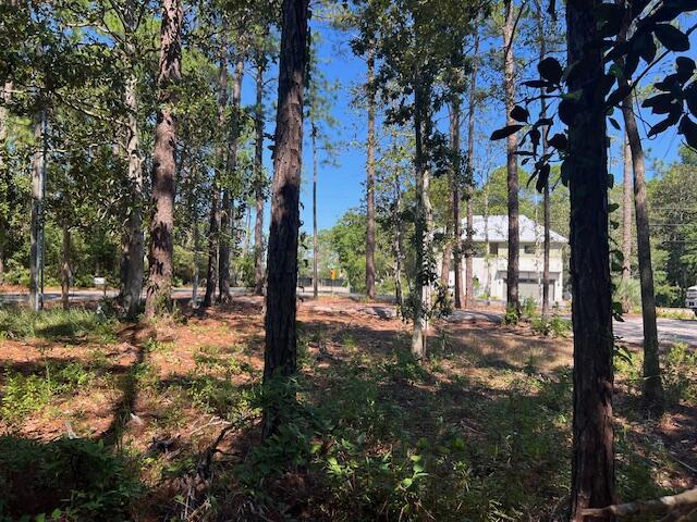 TBD W Hewett Rd, Santa Rosa Beach, FL 32459 - photo 17