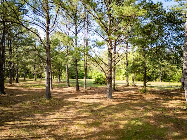 4351-4353 Poverty Creek Rd, Crestview, FL 32539 - photo 71