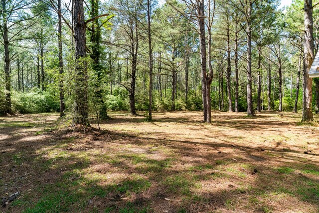 4351-4353 Poverty Creek Rd, Crestview, FL 32539 - photo 86