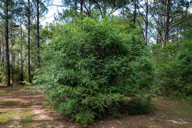 4351-4353 Poverty Creek Rd, Crestview, FL 32539 - photo 108