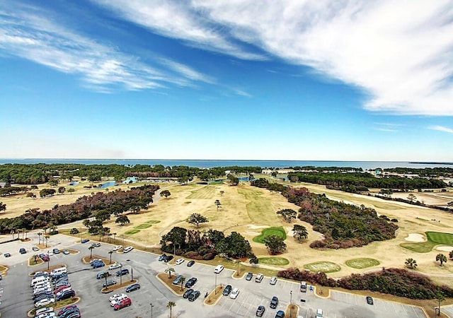 111 S Driftwood Bay Unit 121, Miramar Beach, FL 32550 - photo 32