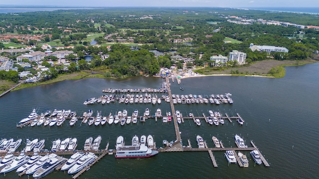72 Vantage Pt, Miramar Beach, FL 32550 - bird's eye view of numerous boat docks and a large body of water