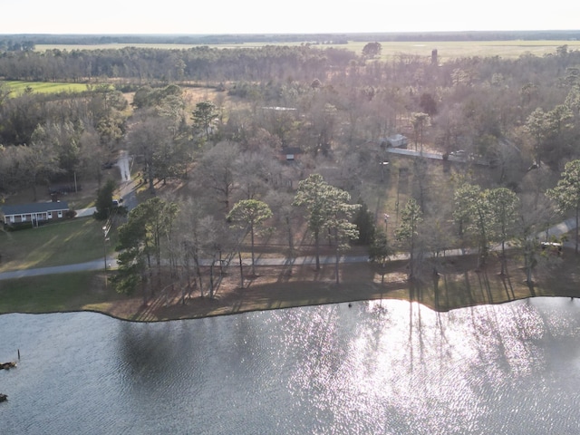 5131 Wiggins Lake Rd, Walnut Hill, FL 32568 - water view with a forest