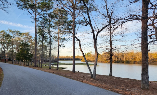 5131 Wiggins Lake Rd, Walnut Hill, FL 32568 - view of asphalt road featuring a water view