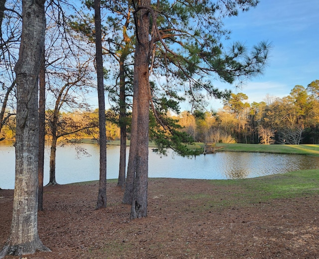 5131 Wiggins Lake Rd, Walnut Hill, FL 32568 - water view