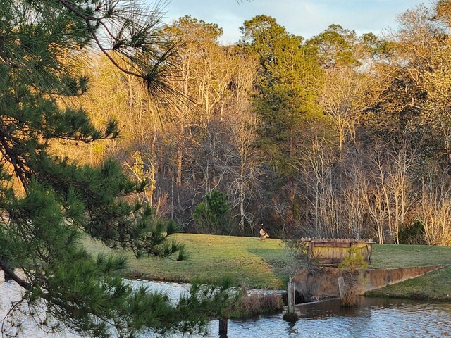 5131 Wiggins Lake Rd, Walnut Hill, FL 32568 - water view with a forest