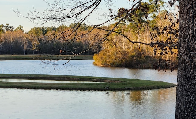 5131 Wiggins Lake Rd, Walnut Hill, FL 32568 - water view featuring a heavily wooded area