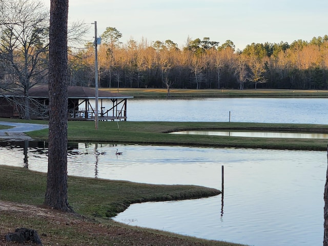 5131 Wiggins Lake Rd, Walnut Hill, FL 32568 - water view with a heavily wooded area
