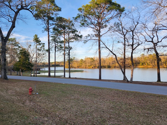 5131 Wiggins Lake Rd, Walnut Hill, FL 32568 - water view
