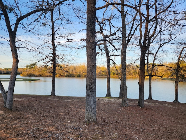 5131 Wiggins Lake Rd, Walnut Hill, FL 32568 - water view