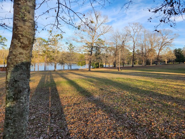 5131 Wiggins Lake Rd, Walnut Hill, FL 32568 - view of green lawn featuring a water view