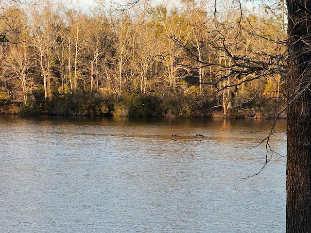 5131 Wiggins Lake Rd, Walnut Hill, FL 32568 - water view
