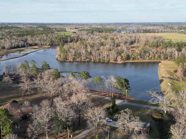 5131 Wiggins Lake Rd, Walnut Hill, FL 32568 - aerial view of property's location with a large body of water and a heavily wooded area