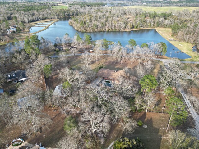 5131 Wiggins Lake Rd, Walnut Hill, FL 32568 - view of property location with a nearby body of water and a forest