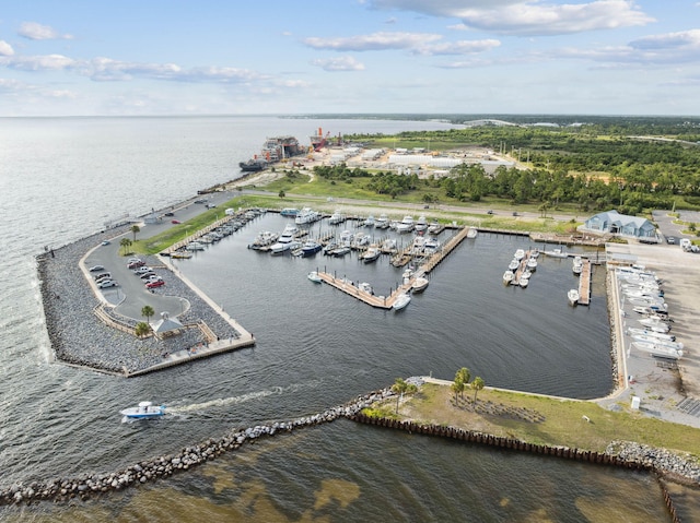 246 Dockside Dr, Port St Joe, FL 32456 - bird's eye view of a large body of water and numerous boat docks