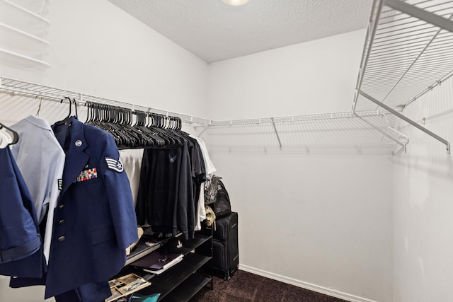 4601 Top Flight Dr, Crestview, FL 32539 - spacious closet with carpet