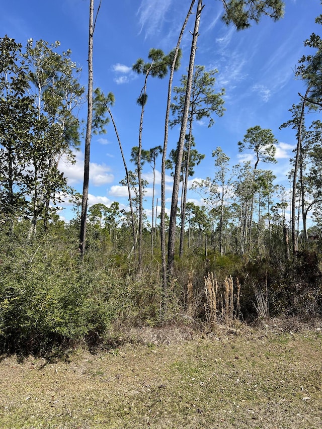 723 Vista Del Sol Ln, Panama City, FL 32404 - photo 2