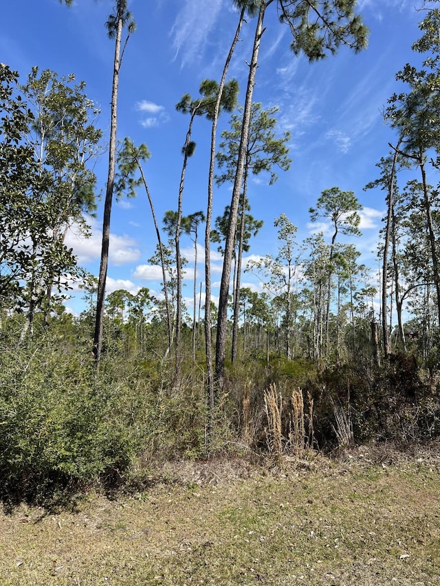 723 Vista Del Sol Ln, Panama City, FL 32404 - photo 3