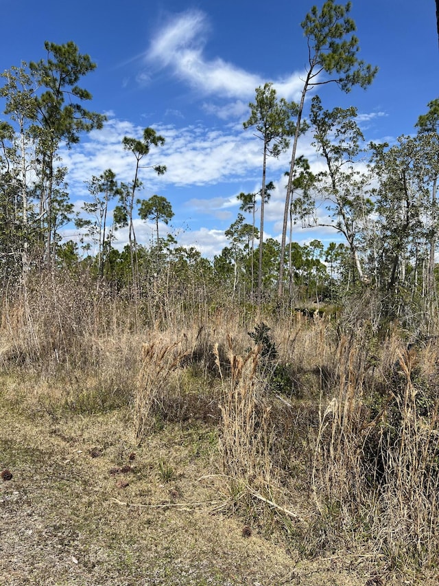 723 Vista Del Sol Ln, Panama City, FL 32404 - photo 4