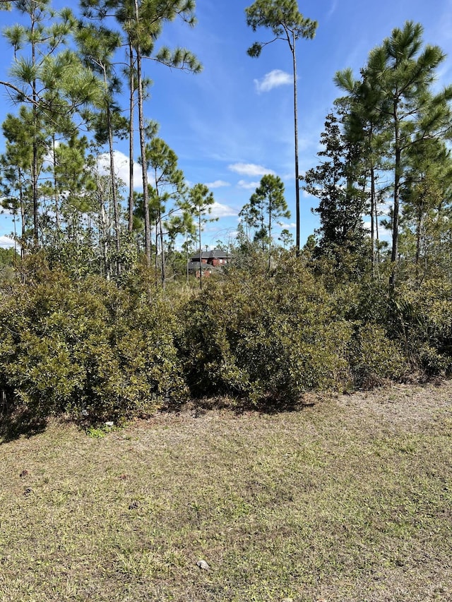 723 Vista Del Sol Ln, Panama City, FL 32404 - photo 7