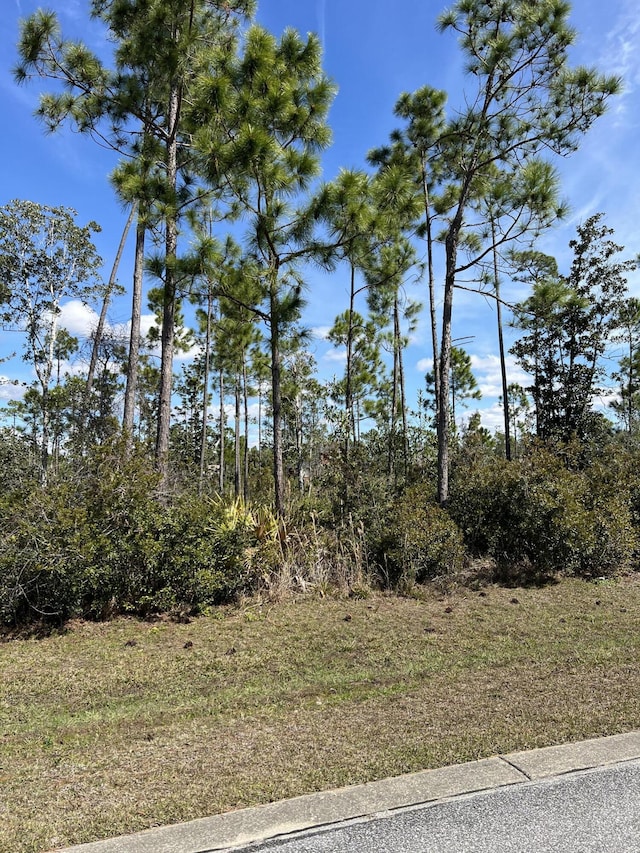 723 Vista Del Sol Ln, Panama City, FL 32404 - photo 8