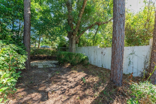 1207 Walter Ave, Crestview, FL 32536 - view of yard