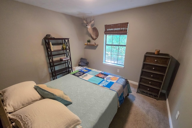 696 Phillips Dr, Freeport, FL 32439 - photo 21