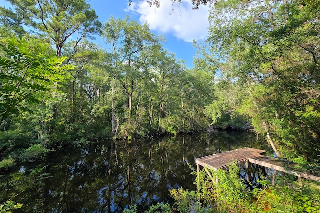 696 Phillips Dr, Freeport, FL 32439 - photo 32