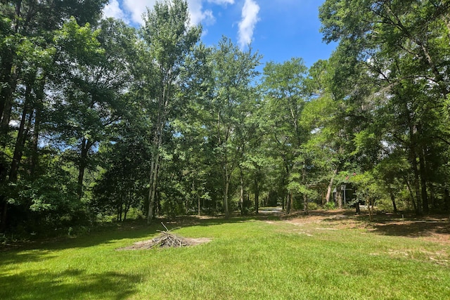 696 Phillips Dr, Freeport, FL 32439 - photo 43