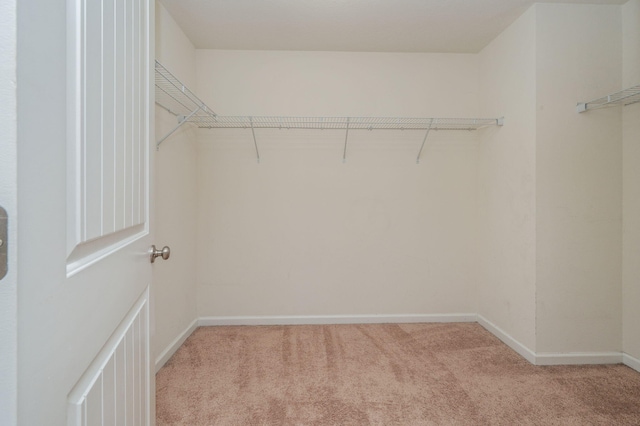 728 Widgeon Way, Crestview, FL 32539 - spacious closet with light carpet