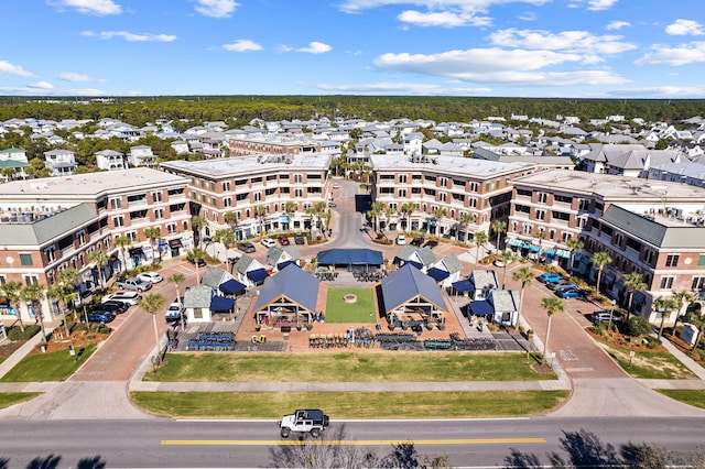 24 Barefoot Ln, Inlet Beach, FL 32461 - drone / aerial view