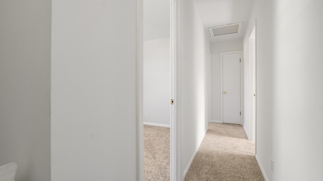 3911 W 21st Pl, Panama City, FL 32405 - photo 28
